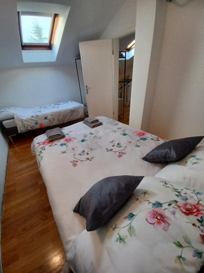 Stunning New Apartment In Centre Of Buzet Luaran gambar
